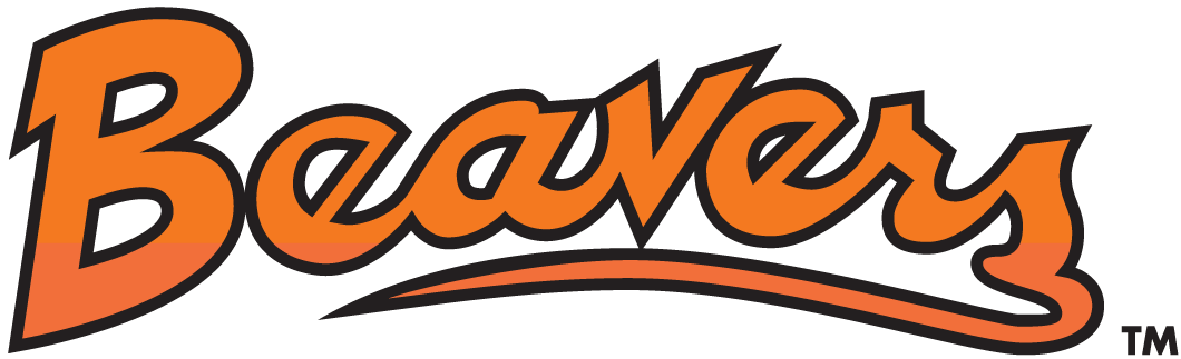 Oregon State Beavers 1979-1996 Wordmark Logo iron on transfers for T-shirts